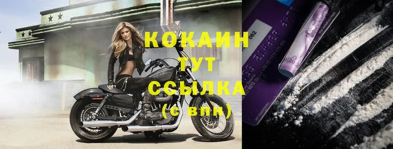 КОКАИН FishScale как найти наркотики Выборг