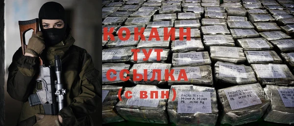 молекула духа Нягань