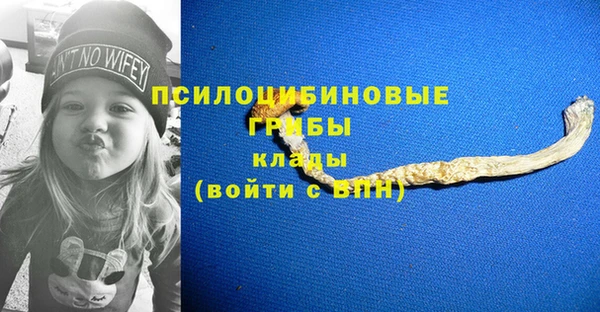 молекула духа Нягань
