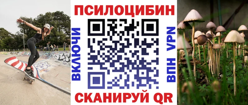 Галлюциногенные грибы Cubensis  магазин    OMG маркетплейс  Выборг 