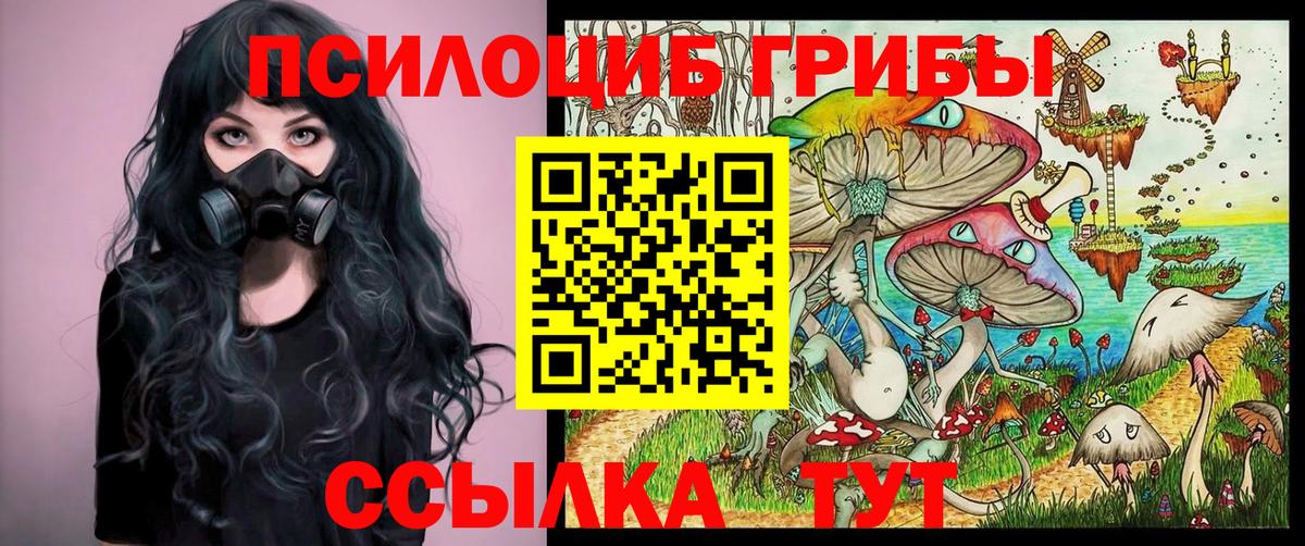 Выборг  Галлюциногенные грибы Psilocybe  Вход с VPN 