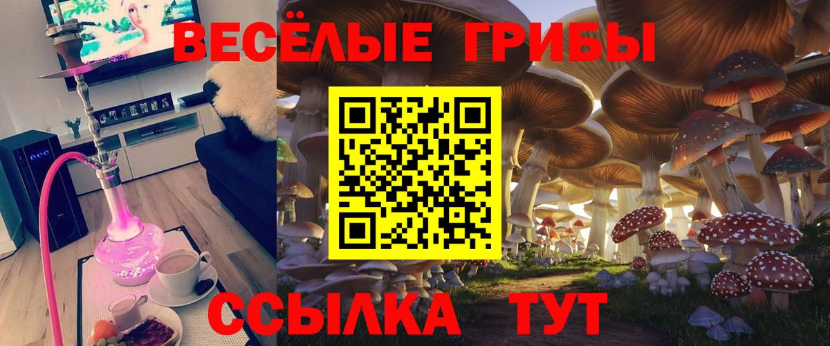 NBOMe Выборг