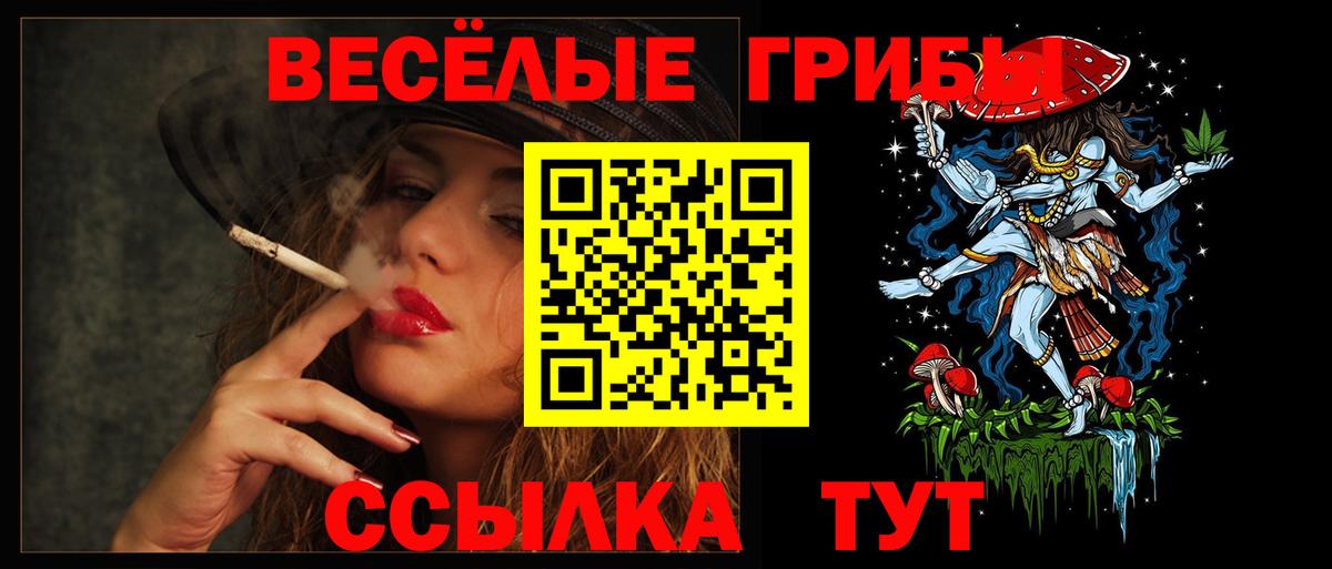 Псилоцибиновые грибы MAGIC MUSHROOMS Выборг